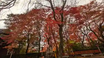 松ヶ崎大黒天 妙圓寺（妙円寺）(京都府)