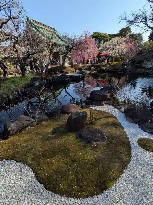 長谷寺(神奈川県)