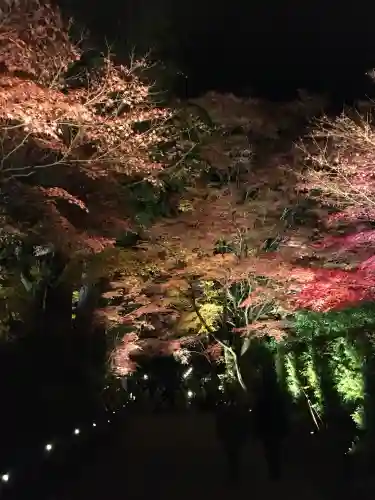 中尊寺(岩手県)