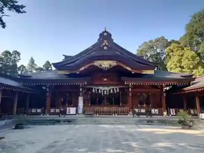 亀ケ池八幡宮の{uncategorized: "未分類", other: "その他", undefined: "問題あり", building: "その他建物", grave: "お墓", sacred_gate: "鳥居", guardian: "狛犬", statue: "像", buddha: "仏像", history: "歴史", nature: "自然", garden: "庭園", animal: "動物", pagoda: "塔", temizu: "手水舎", mountain_gate: "山門・神門", sanctuary: "本殿・本堂", subordinate: "末社・摂社", art: "芸術", scenery: "景色", jizo: "地蔵", ema: "絵馬", goshuin: "御朱印", omikuji: "おみくじ", items: "授与品その他", amulet: "お守り", goshuincho: "御朱印帳", eats: "食事", festival: "お祭り", votive_dance: "神楽", shichigosan: "七五三参", wedding: "結婚式", experience: "体験その他", initially: "初詣", around: "周辺", anti_infection: "感染症対策"}