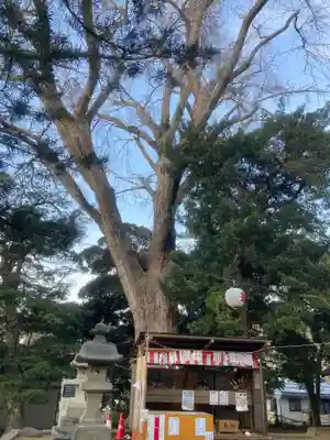 五霊神社(神奈川県)