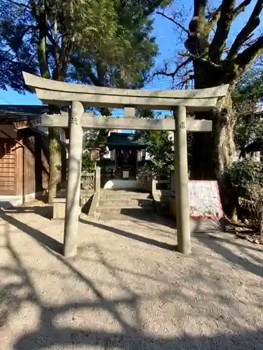 白峯神宮の鳥居