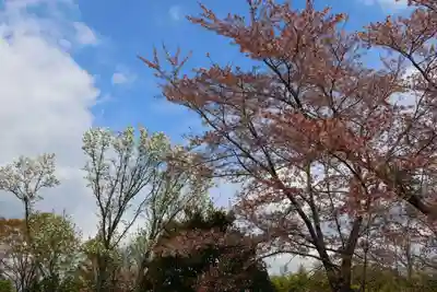 大鏑神社の自然