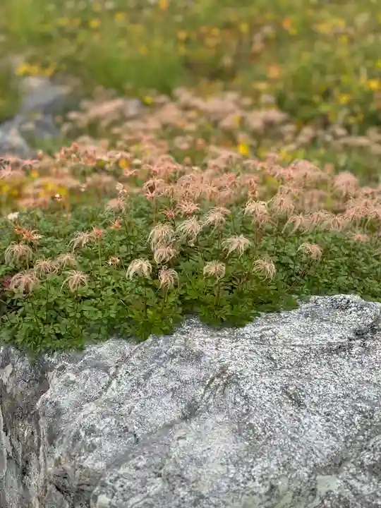 雄山神社峰本社の自然
