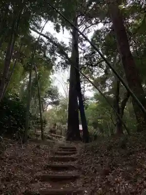 薬師堂権現教会(千葉県)