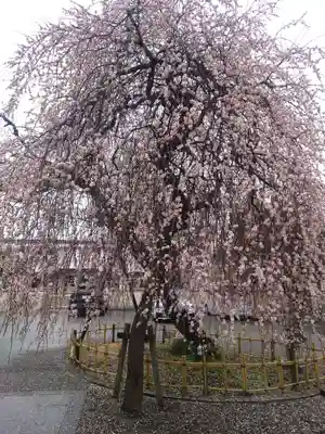宗仲寺(神奈川県)