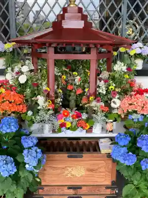西新井大師総持寺(東京都)