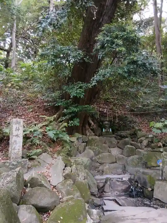 姉埼神社の{uncategorized: "未分類", other: "その他", undefined: "問題あり", building: "その他建物", grave: "お墓", sacred_gate: "鳥居", guardian: "狛犬", statue: "像", buddha: "仏像", history: "歴史", nature: "自然", garden: "庭園", animal: "動物", pagoda: "塔", temizu: "手水舎", mountain_gate: "山門・神門", sanctuary: "本殿・本堂", subordinate: "末社・摂社", art: "芸術", scenery: "景色", jizo: "地蔵", ema: "絵馬", goshuin: "御朱印", omikuji: "おみくじ", items: "授与品その他", amulet: "お守り", goshuincho: "御朱印帳", eats: "食事", festival: "お祭り", votive_dance: "神楽", shichigosan: "七五三参", wedding: "結婚式", experience: "体験その他", initially: "初詣", around: "周辺", anti_infection: "感染症対策"}