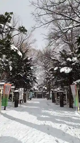 新琴似神社の景色