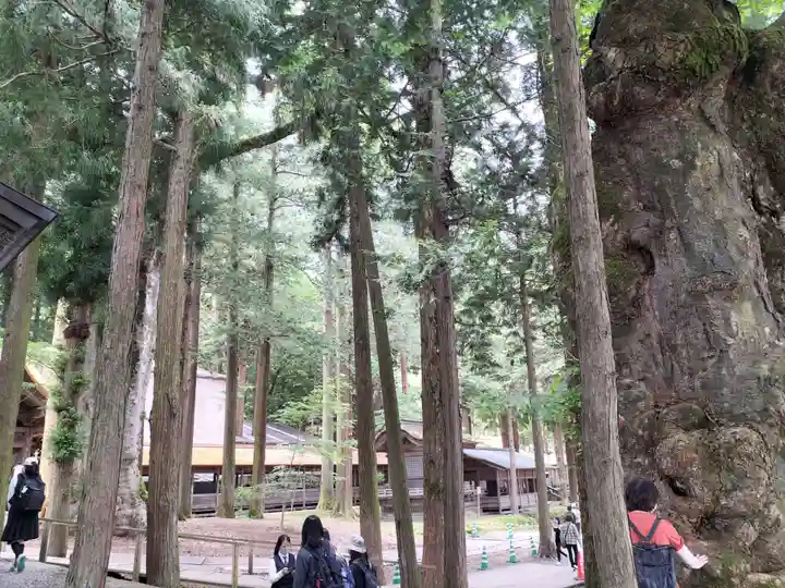 諏訪大社(長野県)