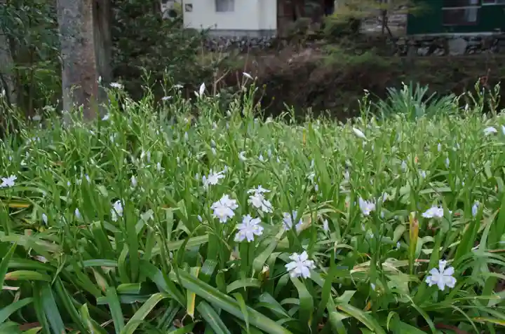 身延山 祖廟拝殿の自然