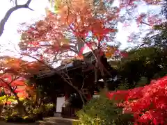 本土寺の自然