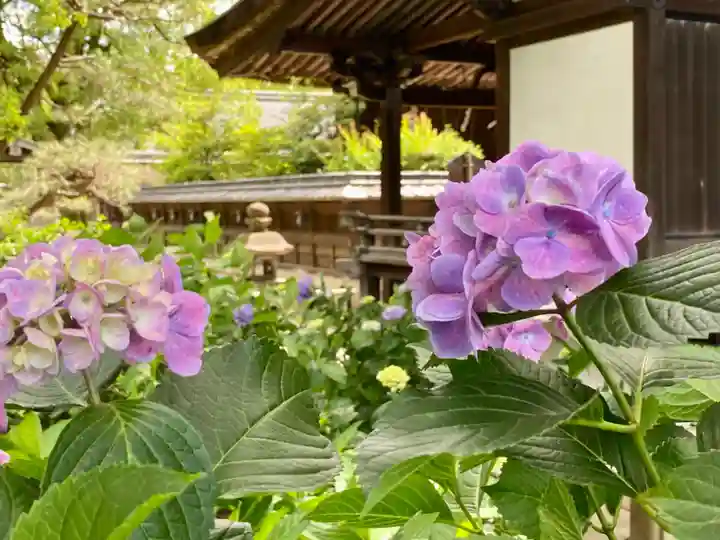 藤森神社のその他建物