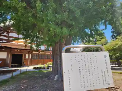 永保寺のその他建物