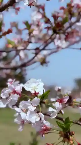 福井神社(福井県)