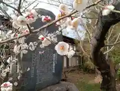 阿部野神社の自然