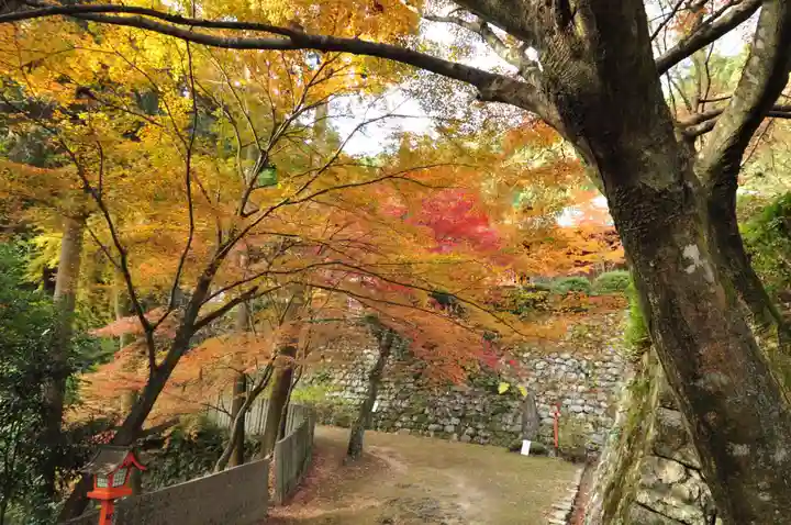 西山興隆寺(愛媛県)