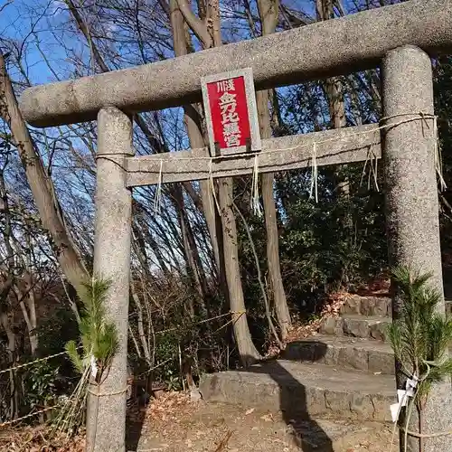 浅川金刀比羅神社 の鳥居