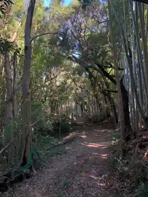 妙楽寺(千葉県)