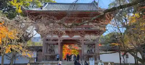 醍醐寺(京都府)