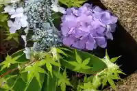 神炊館神社 ⁂奥州須賀川総鎮守⁂の手水舎