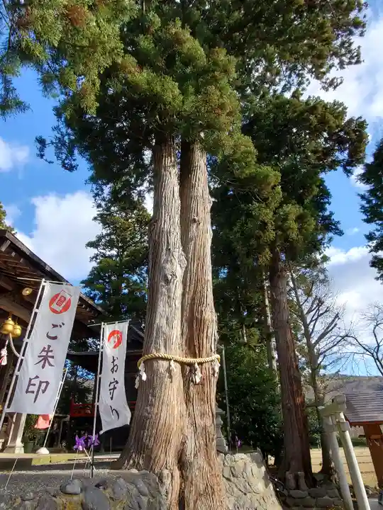 高司神社〜むすびの神の鎮まる社〜の自然