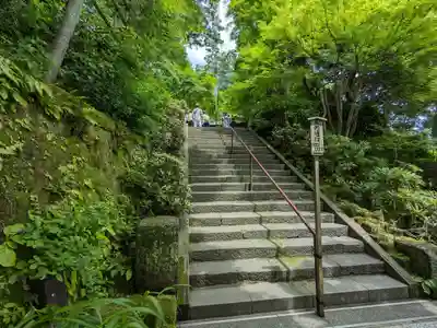 長谷寺(神奈川県)