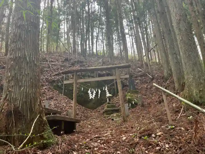 夏井諏訪神社の{uncategorized: "未分類", other: "その他", undefined: "問題あり", building: "その他建物", grave: "お墓", sacred_gate: "鳥居", guardian: "狛犬", statue: "像", buddha: "仏像", history: "歴史", nature: "自然", garden: "庭園", animal: "動物", pagoda: "塔", temizu: "手水舎", mountain_gate: "山門・神門", sanctuary: "本殿・本堂", subordinate: "末社・摂社", art: "芸術", scenery: "景色", jizo: "地蔵", ema: "絵馬", goshuin: "御朱印", omikuji: "おみくじ", items: "授与品その他", amulet: "お守り", goshuincho: "御朱印帳", eats: "食事", festival: "お祭り", votive_dance: "神楽", shichigosan: "七五三参", wedding: "結婚式", experience: "体験その他", initially: "初詣", around: "周辺", anti_infection: "感染症対策"}
