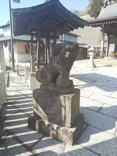 太田杉山神社・横濱水天宮の狛犬