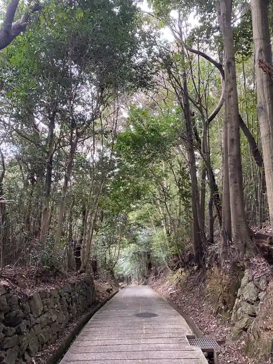 勝持寺(花の寺)の周辺