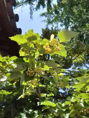 恵光院(福岡県)