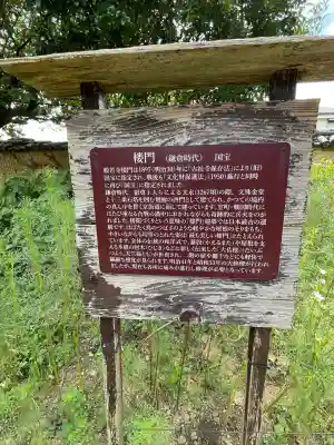 般若寺 ❁﻿コスモス寺❁(奈良県)