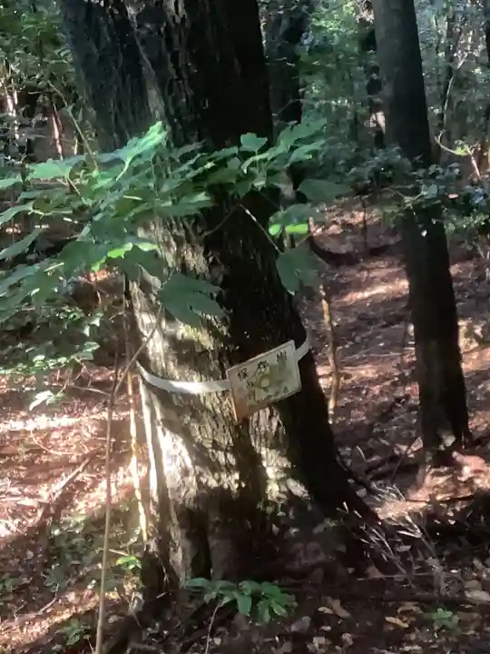 五社大明神社の自然
