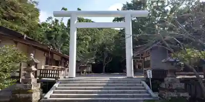 安房神社の鳥居