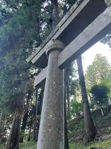 大宮温泉神社の鳥居