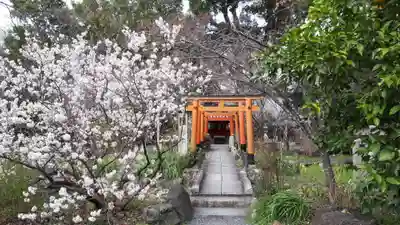 平野神社の末社・摂社