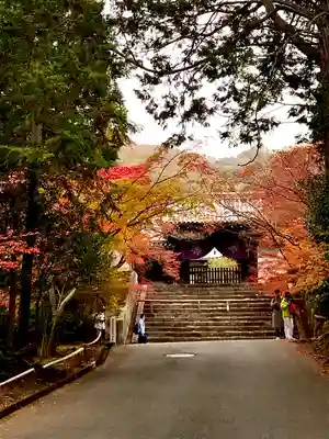 曼殊院門跡(京都府)