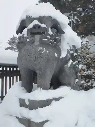 札幌護國神社の狛犬