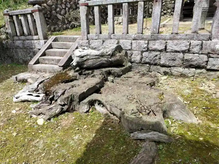 慈久神社の{uncategorized: "未分類", other: "その他", undefined: "問題あり", building: "その他建物", grave: "お墓", sacred_gate: "鳥居", guardian: "狛犬", statue: "像", buddha: "仏像", history: "歴史", nature: "自然", garden: "庭園", animal: "動物", pagoda: "塔", temizu: "手水舎", mountain_gate: "山門・神門", sanctuary: "本殿・本堂", subordinate: "末社・摂社", art: "芸術", scenery: "景色", jizo: "地蔵", ema: "絵馬", goshuin: "御朱印", omikuji: "おみくじ", items: "授与品その他", amulet: "お守り", goshuincho: "御朱印帳", eats: "食事", festival: "お祭り", votive_dance: "神楽", shichigosan: "七五三参", wedding: "結婚式", experience: "体験その他", initially: "初詣", around: "周辺", anti_infection: "感染症対策"}