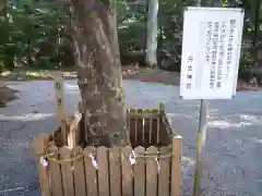 丹生神社の自然