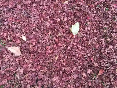 南湖神社の自然