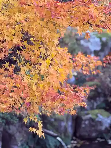 萬徳寺(福井県)
