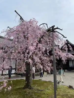 三宝院（三宝院門跡）(京都府)
