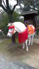 市原稲荷神社(愛知県)