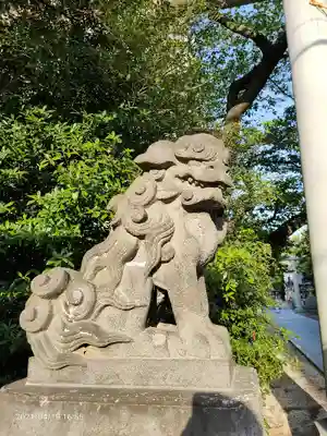 松戸神社の狛犬