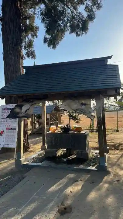 素鵞神社の{uncategorized: "未分類", other: "その他", undefined: "問題あり", building: "その他建物", grave: "お墓", sacred_gate: "鳥居", guardian: "狛犬", statue: "像", buddha: "仏像", history: "歴史", nature: "自然", garden: "庭園", animal: "動物", pagoda: "塔", temizu: "手水舎", mountain_gate: "山門・神門", sanctuary: "本殿・本堂", subordinate: "末社・摂社", art: "芸術", scenery: "景色", jizo: "地蔵", ema: "絵馬", goshuin: "御朱印", omikuji: "おみくじ", items: "授与品その他", amulet: "お守り", goshuincho: "御朱印帳", eats: "食事", festival: "お祭り", votive_dance: "神楽", shichigosan: "七五三参", wedding: "結婚式", experience: "体験その他", initially: "初詣", around: "周辺", anti_infection: "感染症対策"}