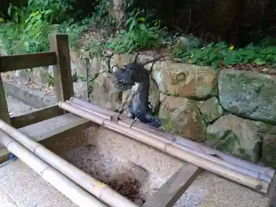 熊野三所神社の手水舎