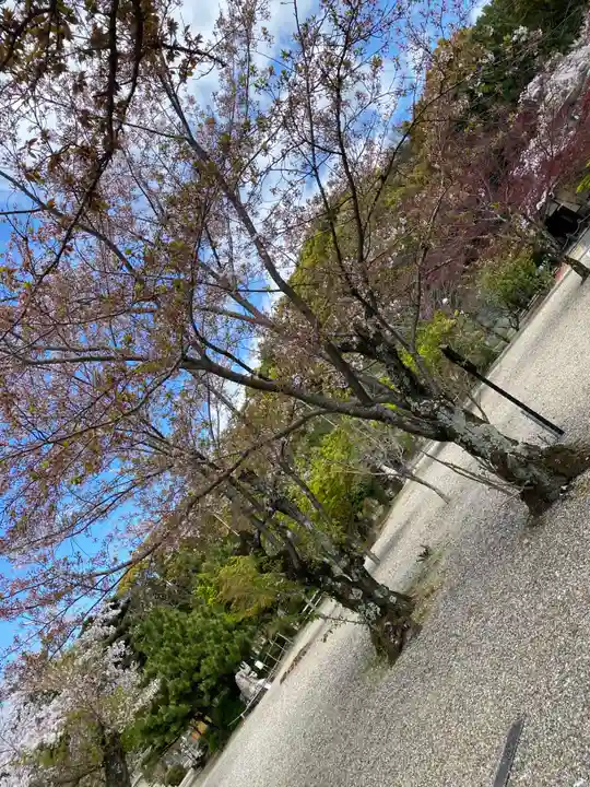 京都乃木神社(京都府)
