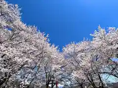 子檀嶺神社の自然