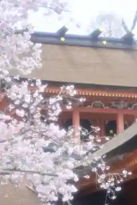 富士山本宮浅間大社(静岡県)